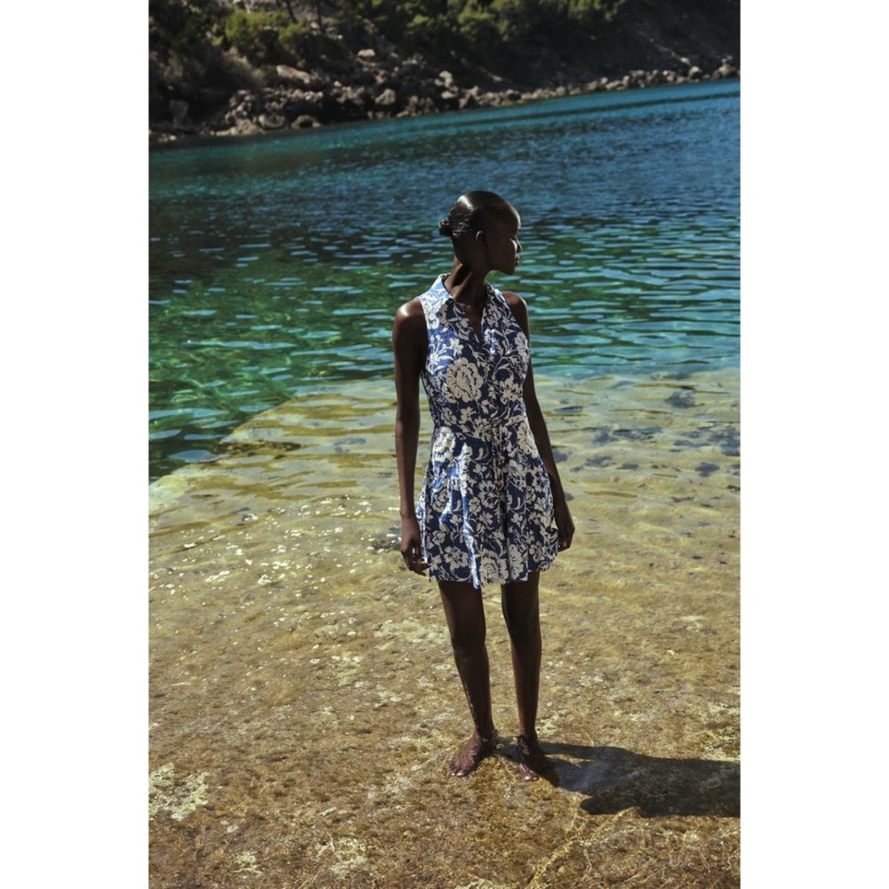 Zara Blue and White Printed Dress